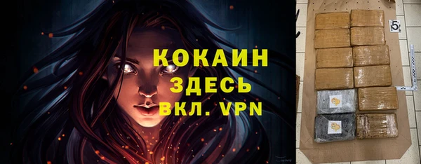 дмт Заводоуковск