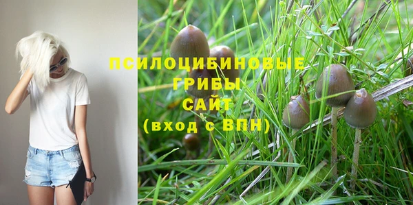 mdma Заволжск