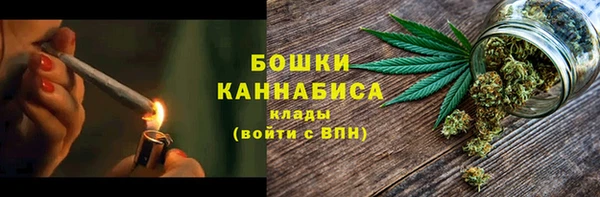 дмт Заводоуковск