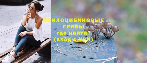 дмт Заводоуковск